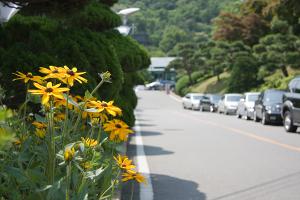  셋째주 주일 교회 둘러보기