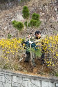  여주 평강제일연수원 식수작업 및 청소