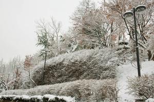  교회 설경