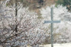  교회 둘러보기