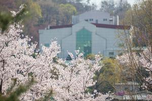  교회 둘러보기