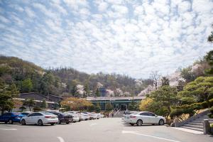   교회 둘러보기(평강의 봄)