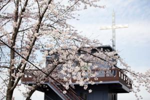   교회 둘러보기(평강의 봄)