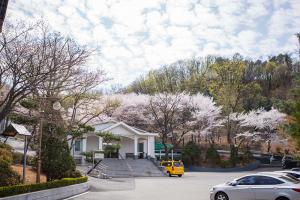   교회 둘러보기(평강의 봄)