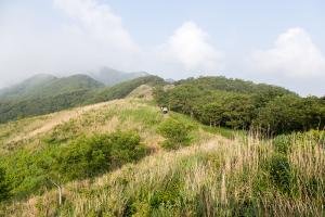  청년2부(그루터기선교회)'장안산 구국기도회'