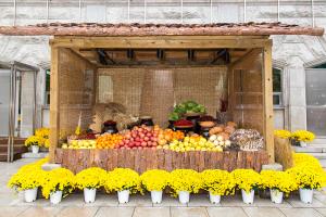  주일 2부 추수감사예배