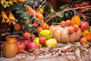  주일 2부 추수감사예배