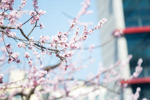  주일 둘러보기