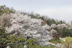  주일 2부예배