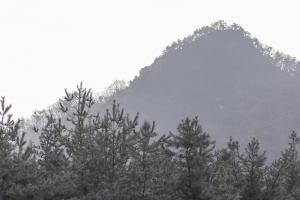  구속사 말씀 승리의 날 감사예배