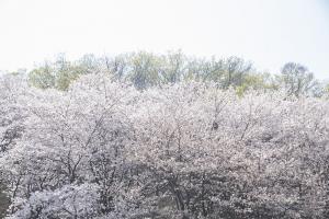  청년2부 그루터기 선교회